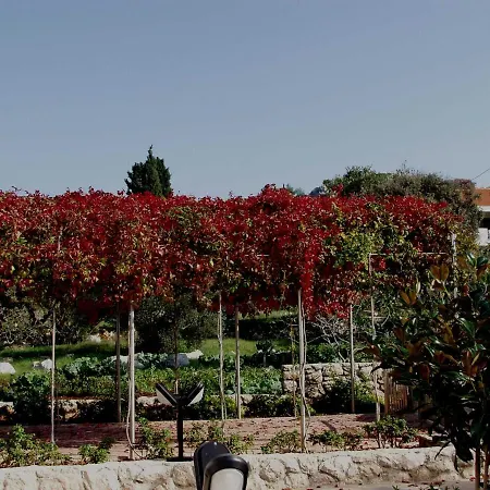 Tatil Evi House 