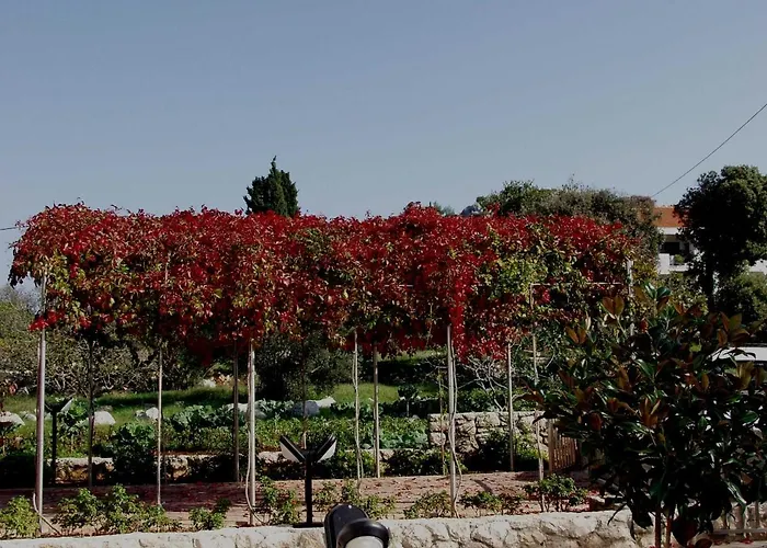 Prázdninový dům House 